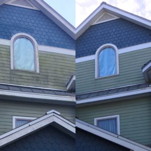 Mold and Mildew removal tampa FL soft wash