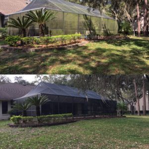 Screen Cleaning, Bird cage Cleaning, Pool screens