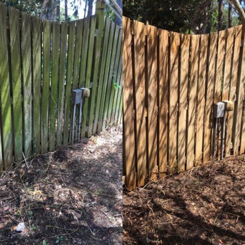 Wood Fence Cleaning Tampa Florida