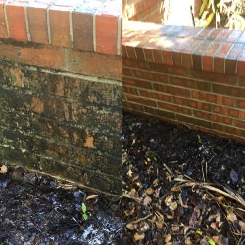 Brick Wall Cleaning Tampa Florida