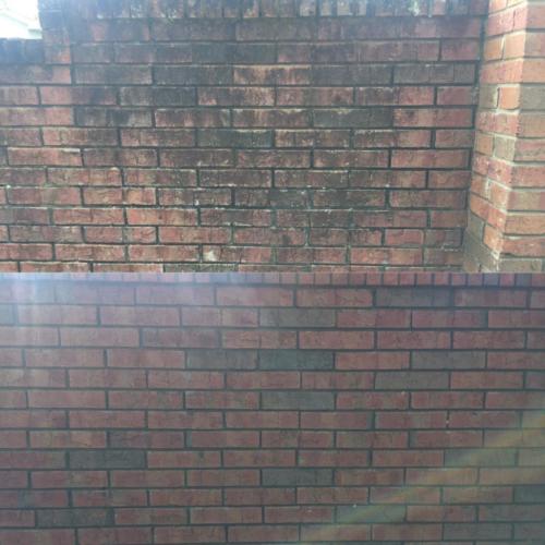 Brick Wall Cleaning Tampa Florida