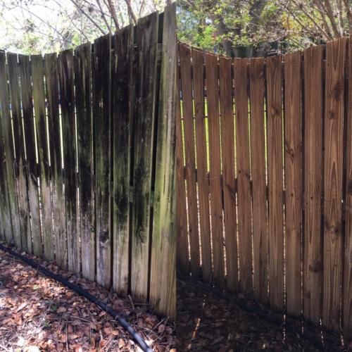 Wood Fence Cleaning Tampa Florida